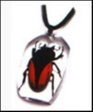 Insect Amber Jewelry-Pendant